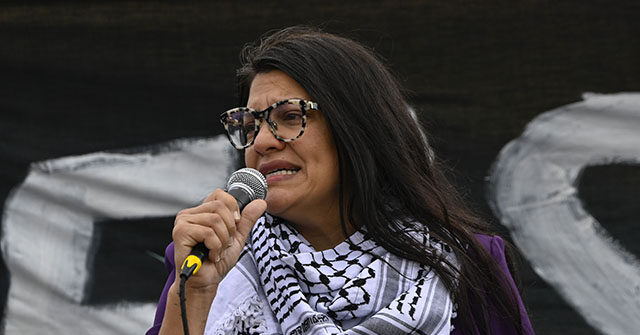 Rashida Tlaib Should Be ‘Removed from Congress’