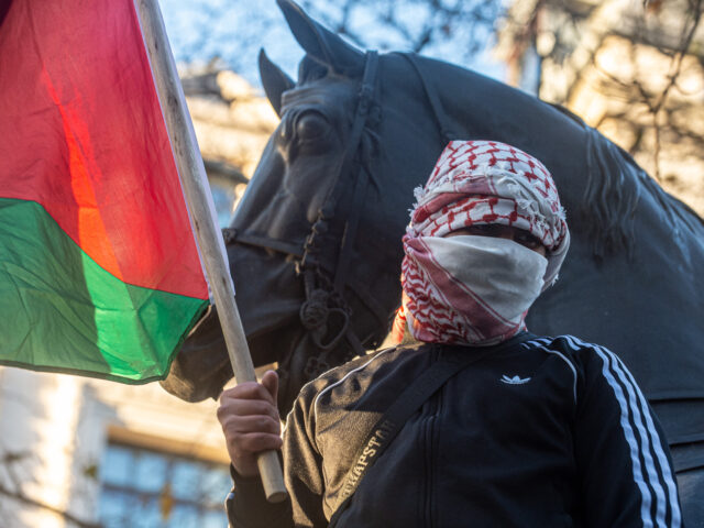 LONDON, ENGLAND - NOVEMBER 25: Protestors wave flags near trafalgar square as hundreds of