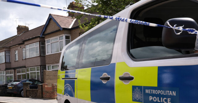 'Handbag Thief' Killed 'Woman in Her 60s' in London Stabbing: Claim