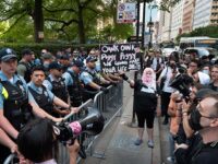 Chicago Police Arrest 68 Pro-Palestinian Protesters Outside Art Institute