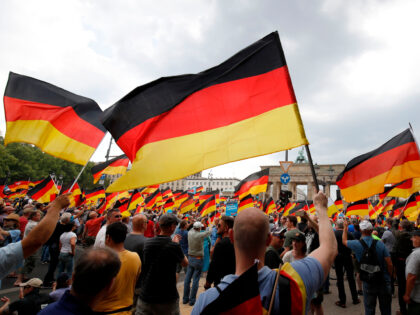 Alternative for Germany (AfD)'s demonstrators wave German flags in front of the Brandenbur