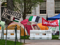 Harvard ‘Encampment’ Takes Down Antisemitic Poster of Interim President Garber