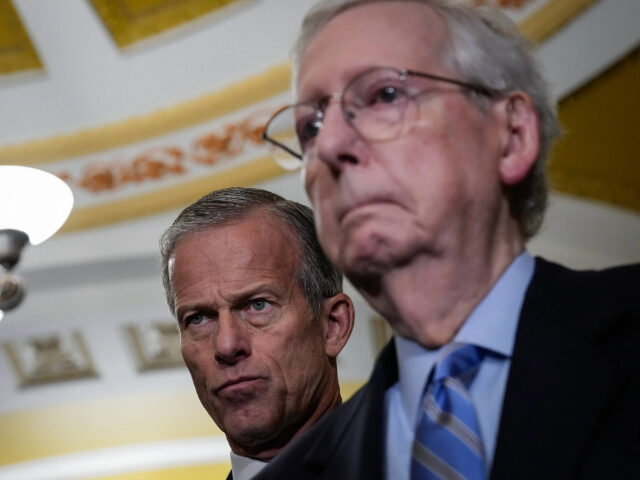 John Thune and Mitch McConnell