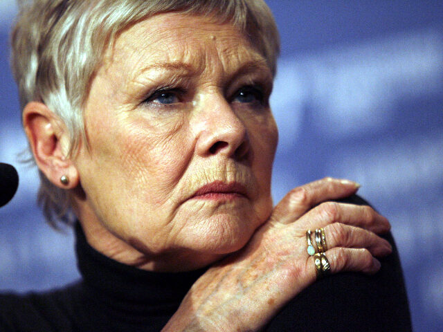 Judi Dench (Photo by Kurt Vinion/WireImage)