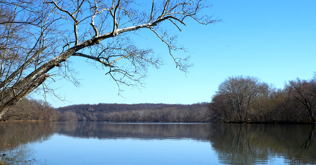 UAE Purchases Land in Virginia for $55 Million to Build Future Compound