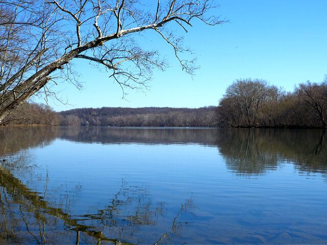 UAE Purchases Land in Virginia for $55 Million to Build Future Compound