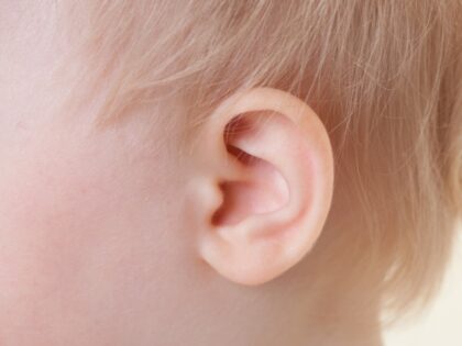 Toddler's ear