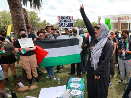 Pro-Palestinian protestors cheer listening to speaker Reem Elkhaldi during a demonstration