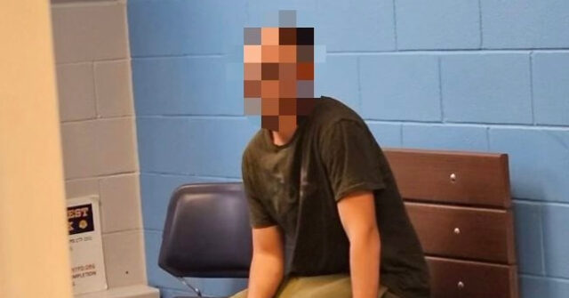 VIDEO: Police — 16-Year-Old Anti-Israel Protester Vandalized WWI Memorial in New York City