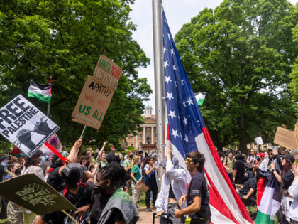 Pro-Palestinian demonstrators replace an American flag with a Palestinian flag Tuesday, Ap