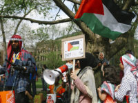 Pro-Palestinian Protesters Interrupt Commencement Ceremony at University of Michigan