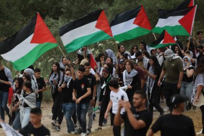 Arab-Israeli protesters wave Palestinian national flags during a rally near Israel's north