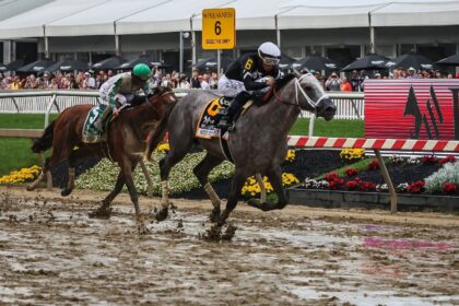 Jockey Jaime Torres riding Seize the Grey on the way to victory in the 149th Preakness Sta