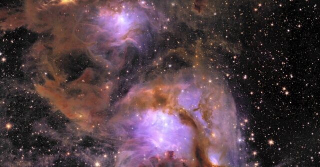 Massive Cradle Of Baby Stars Revealed In New Space Telescope Images ...