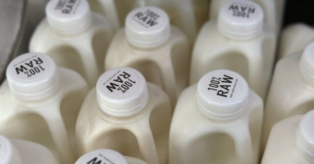 There's bird flu in US dairy cows. Raw milk drinkers aren't deterred - Vimarsana News
