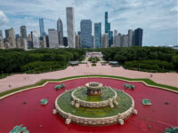 Chicago’s Buckingham Fountain Reopens After Being Vandalized by Pro-Palestinian Protesters