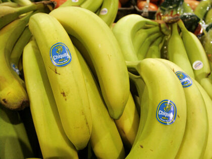 Chiquita bananas are piled on display at the Heinen's grocery store in Bainbridge, Ohio in