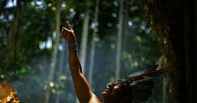 Report: Secluded Amazon Tribe Suffering from Porn, Social Media Addiction