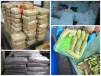 Feds Seize Tons of Meth, Cocaine, Fentanyl in May at California Border Crossings