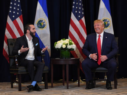 US President Donald Trump and President Nayib Bukele of El Salvador hold a meeting in New