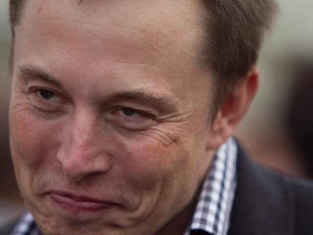 Elon Musk smirks