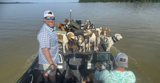 Fishermen Rescue 38 Dogs from Mississippi Lake