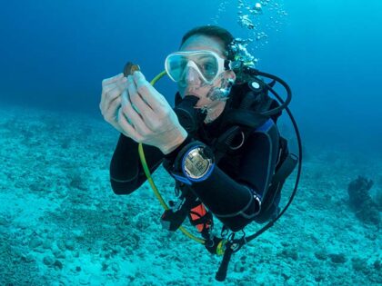 View of a woman scuba diving holding antique coins