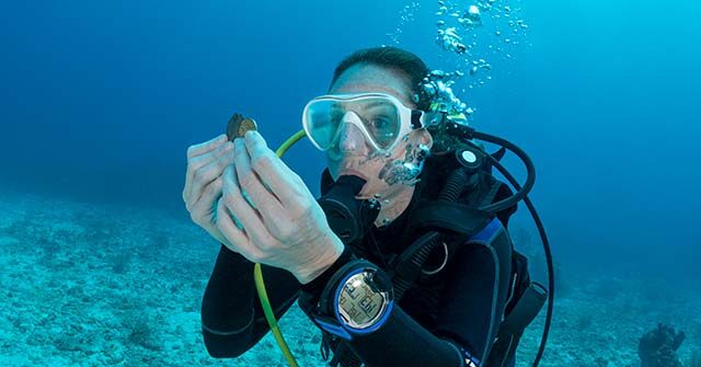 PHOTOS: Florida Treasure Hunters Find Coins Buried at Sea 300 Years Ago