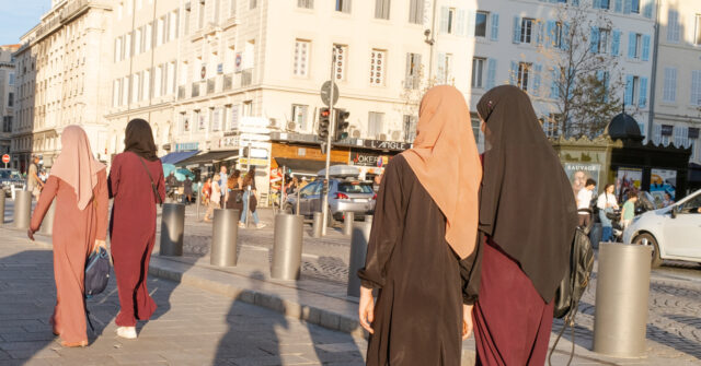 French 'Way of Life' Being Destroyed by Mass Migration, Says MEP