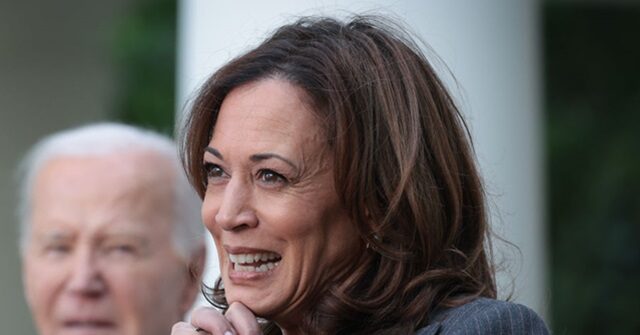 Harris on Concerns About Biden’s Fitness: ‘Let Us Not Decide’ the Election ‘Based on a 90-Minute Debate’
