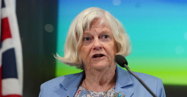 Exclusive: Tories Have Been Anti-Family for 'Very Long Time' Says Reform