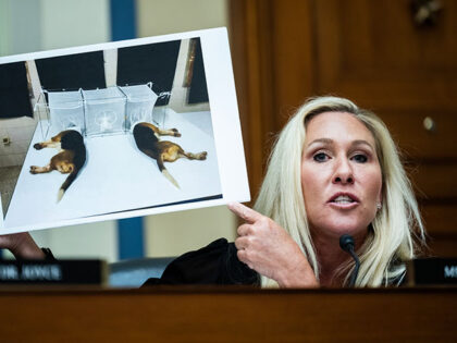 Rep. Marjorie Taylor Greene, R-Ga., holds up a picture of dogs that allegedly were used in