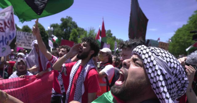 NextImg:WATCH: Pro-Hamas Protesters Circle White House, Attack Federal Officer