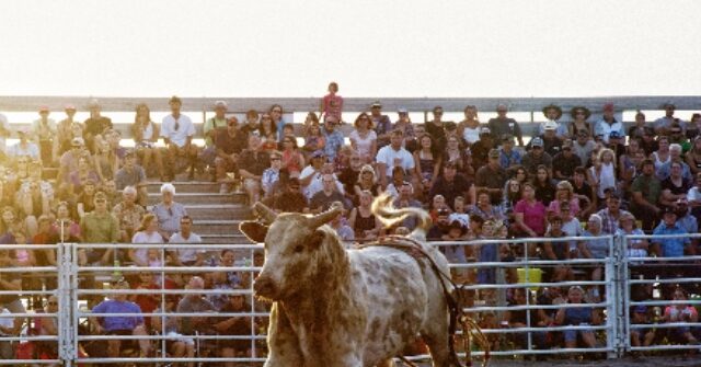 Three People Injured After Bull Jumps Fence into Crowd at Rodeo