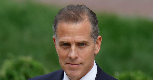 Legal Experts: Hunter Biden Could Be Hoping for 'Jury Nullification'