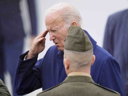 Joe Biden awkward salute (Hiro Komae / Associated Press)