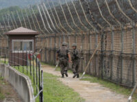 DMZ Landmines Kill North Korean Troops Despite South Korean Warning Shots