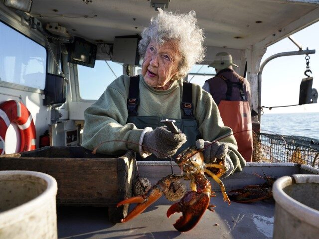 Virginia Oliver, age 101, works as a sternman, measuring and banding lobsters on her son M