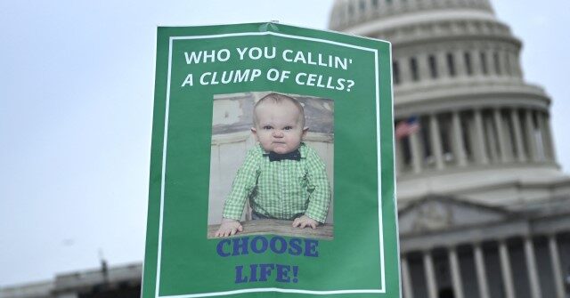 Dem Governors Stockpile Abortion Pills in ‘Resistance to Trump Admin'