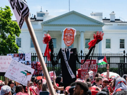 Pro-Palestinian demonstrators rally outside the White House in Washington, DC, on June 8,