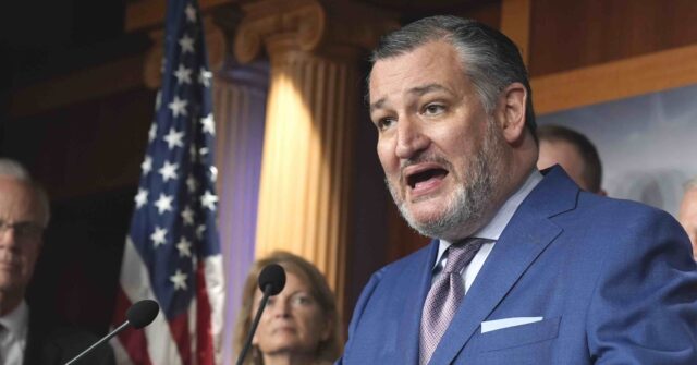 WATCH: Ted Cruz Grills Biden Official Who Claims Israel Cannot Defeat Hamas 'By Military Means'