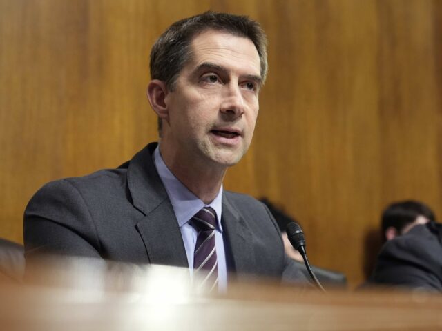 Tom Cotton (Susan Walsh / Associated Press)