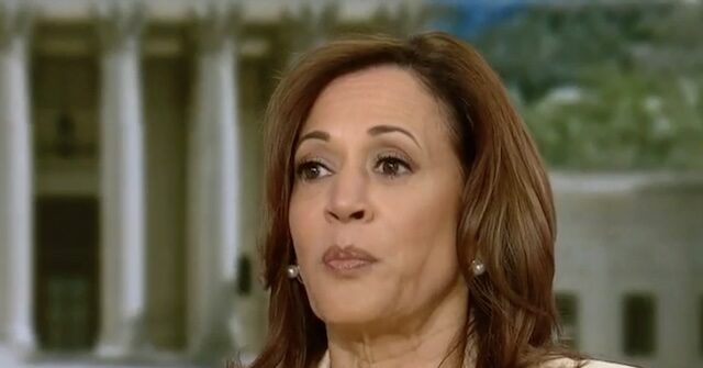 VP Harris: Trump 'Spends Full-Time Fighting for Himself'
