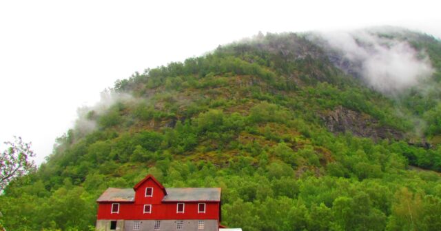 Norway Govt Begins Stockpiling 30,000 Ton Emergency Grain Reserve