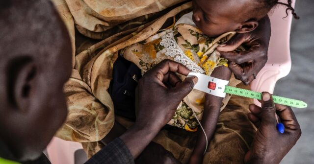 Sudan Faces Worst Levels of Food Insecurity