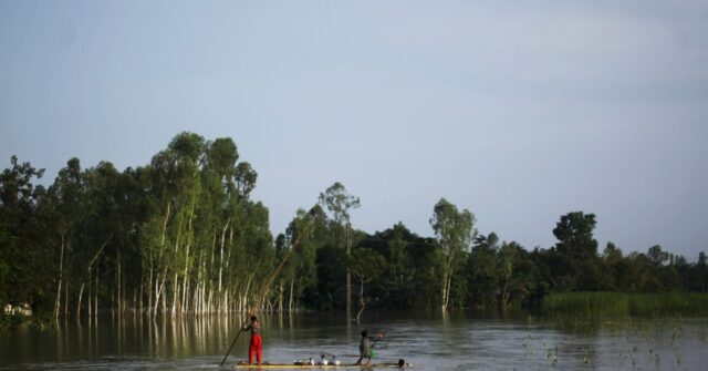 Ten Killed in Cox's Bazar Landslides Amid Heavy Rain