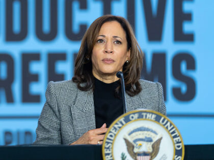 Vice President Kamala Harris participates in a roundtable conversation at a "Fight for Rep