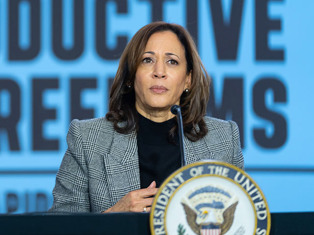 Vice President Kamala Harris participates in a roundtable conversation at a 