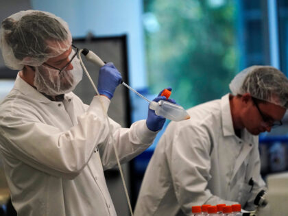 Scientists work in a bioprocess lab at Eat Just in Alameda, Calif., Wednesday, June 14, 20