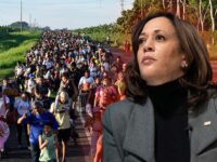 Dem Rep. Strickland: Harris Isn’t ‘Failed Border Czar,’ Numbers Are Falling Under